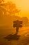 A backlit Mozambican cyclist with dramatic shadow, carrying a heavy load of coal