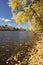 Backlit palmAutumn colors along the Mississippi River, Minneapolis skyline in the distance. trees lining tropical beach