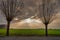 A backlit photo of green fields and traditionally pruned willow trees. Picture from Scania county, Sweden