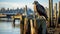 Backlit Photography Of Bald Eagle Near Boat In Vancouver