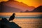 Backlit with a seagull in the foreground and a amazing golden sunset in the background. Generative AI