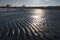 backlit shot of wet sand lines at the beach of the german city hohwacht