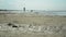 Backlit silhouettes of families and various other people on holiday on the beach