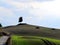 Backlit tree on hill, narrow road and sown land, Tuscany, Italy