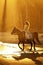 Backlit woman riding horse on beach