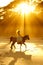 Backlit woman riding horse on beach