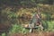 Backpack and fishing rod on the river. Fishing gear