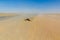 Backpack by a road in Karakum desert during a dust storm, Turkmenist