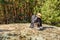 Backpack, touristic boots and hat on a ground in a coniferous forest