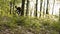 Backpacked man rides bicycle in the forest