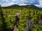 Backpacker on Appalachian Trail in Maine Mountains, Mahoosuc Range