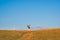 A backpacker with a backpack walks along the top of a hill amid a blue sky and clouds. Summer evening.