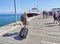 A backpacker boarding in a ferry. Kos, South Aegean region, Greece.