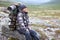 Backpacker enjoying while resting on stone in mountain valley, tired man with backpack is in mountains, copyspace