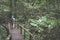 Backpacker exploring the majestic jungle of Kubah National Park, West Sarawak, Borneo, Malaysia.