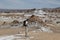 Backpacker exploring the Moon Valley in Atacama Desert, Chile