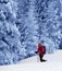 Backpacker makes his way on slope with new-fallen snow