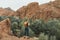Backpacker man explore Todra gorge canyon in Morocco. Red color mountains