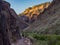Backpacker on Trail in Grand Canyon, Sunlight on Cliffs