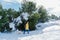 backpacker woman hiking outdoors with cute poodle dog. Snowy mountain in winter season. nature, pets and lifestyle