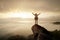 Backpacker woman raise hand up on top of mountain with sun sky