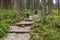 Backpacker women on mountain path - Tatra, Poland.