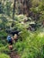 Backpackers entering a deep jungle while they have hiking walk on the Umbwe route in the forest to Kilimanjaro mountain. Active