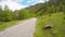 Backpackers hiking in lush green landscape.