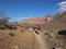 Backpackers on the Tonto Trail in the Grand Canyon.