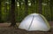 Backpacking tent in a forest