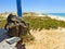 Backpacking traveller in a beach rest. Tavira island, Algarve. Portugal