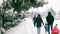 Backs view of a happy family walks sledges in the park in winter. Beautiful spruce trees branches sprinkled with white