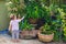 Backside of little Asian 2 year old toddler baby boy child having fun watering the plants from hose spray in the garden at home