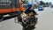 Backside View Man Transports Animal by Motorbike among Vehicles
