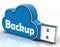 Backup Cloud Pen drive Means Data Storage Or