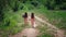 Backwards view of little identical twin sisters with long hair walking together holding hands at road among field