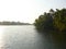 Backwater Canal in Kerala, India - A Natural Water Background