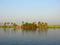 A Backwater Canal with a Rice Paddy and Palm Trees in Background, Kerala, India - A Natural Background