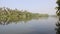 Backwater And Coconut Plantation