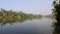 Backwater And Coconut Plantation