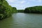 Backwater Mangrove Canals Sri Lanka