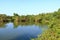 Backwater View in the Vayalapra Floating Park in Kannur District in Kerala, India