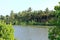 Backwater View in the Vayalapra Floating Park in Kannur District in Kerala, India