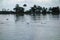 Backwaters network of brackish lagoons in Kerala