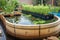 backyard with aquaponics and hydroponic system, fish swimming in water tank