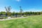 Backyard beautiful spring landscape with fence and forest.