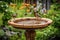 backyard with birdbath, feeders, and natural habitat for feathered friends