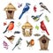 Backyard birds, birdhouse, feeder, natural elements illustration set. Hand drawn common garden birds. Realistic detailed