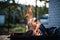 Backyard Blaze: Fire Grill Extravaganza