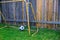 Backyard chldren soccer at the wood fence with wall